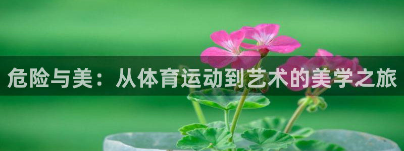 意昂4注册