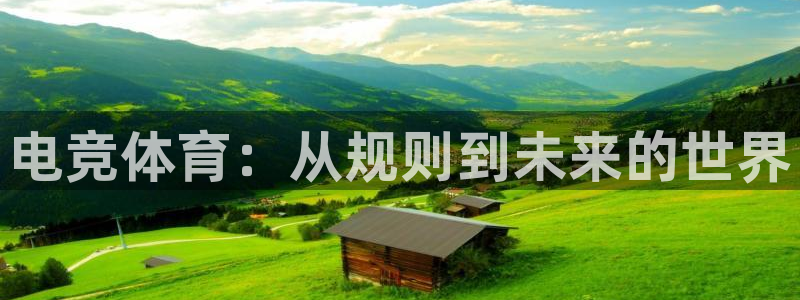 领航国际代理注册官网入口