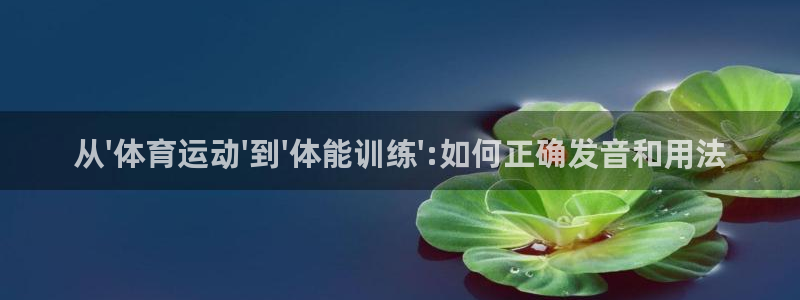 领航国际体育官网登录