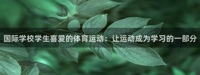 领航国际包怎么样