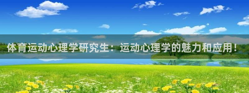 领航国际5