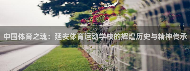 领航国际体育官网