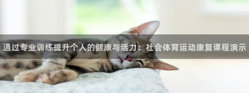 领航国际3注册
