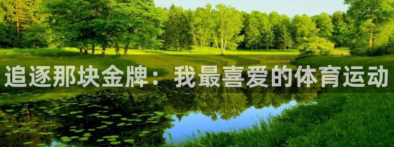 领航国际3代理
