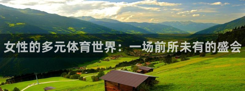 领航国际3平台登录注册