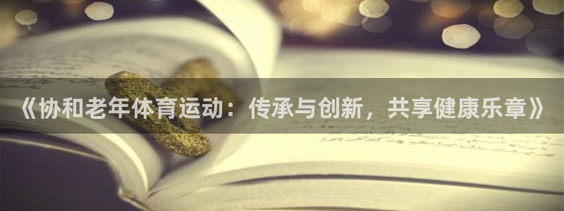 领航国际主管
