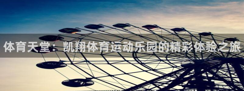 领航国际体育2