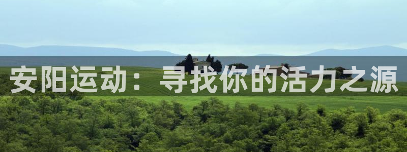 领航国际